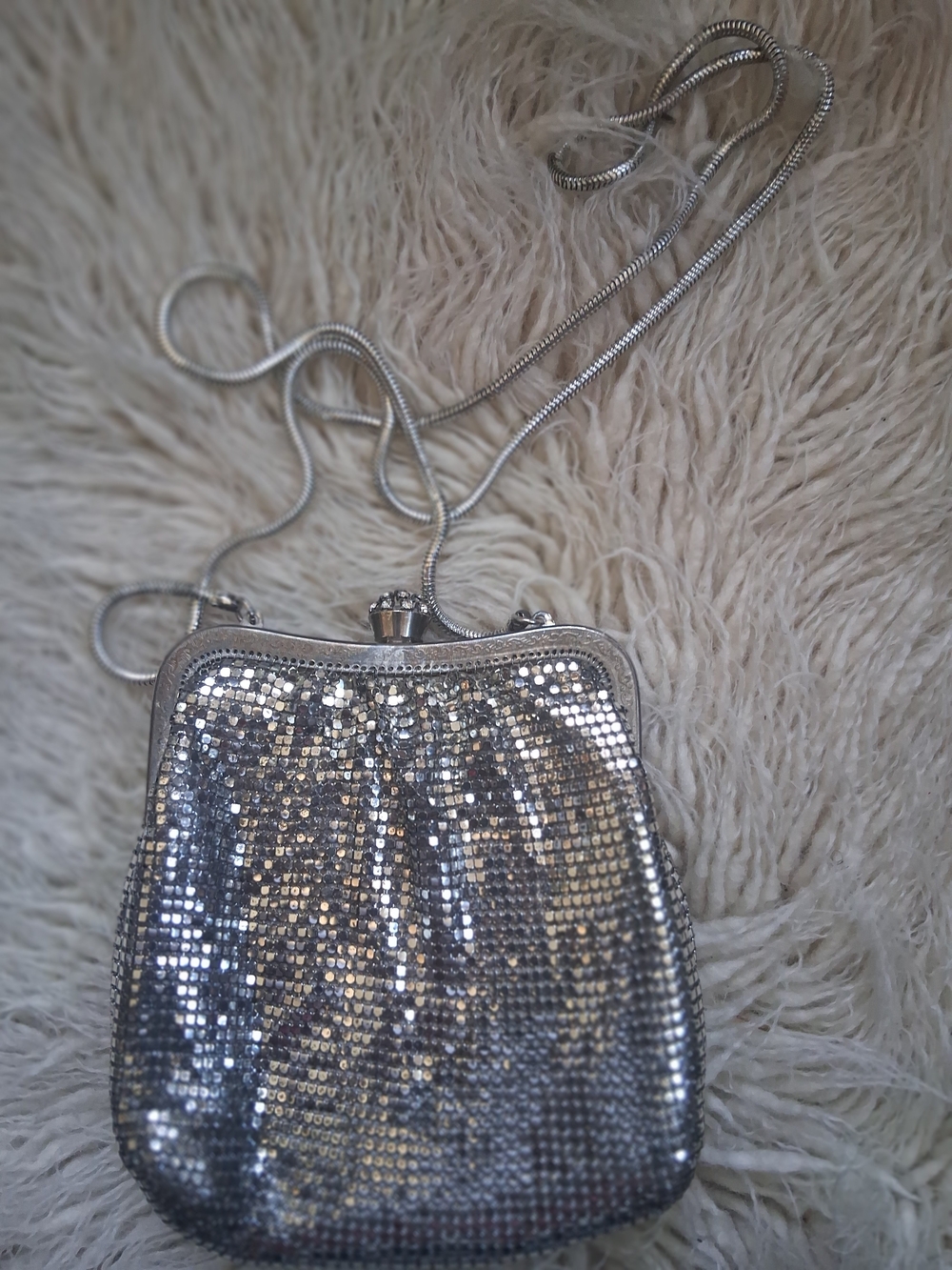 Vintage Mesh Silver  Evening Crossbody Bag - Women